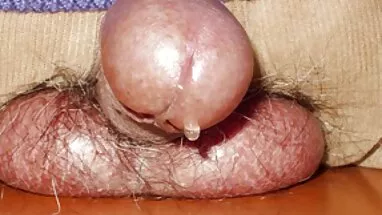 Làm aus dem Bắn trực phim set co gioa thao tiếp zum Mund - TỪ MÔNG BẨN MIỆNG